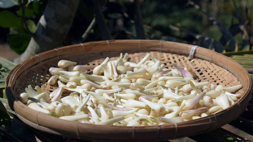 Phơi củ kiệu là cách làm củ kiệu dai, giòn hơn